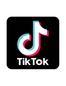 TikTok +10 Aylık Hesaplar (Mail Onaylı)